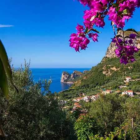 Holiday home Christa Massa Lubrense